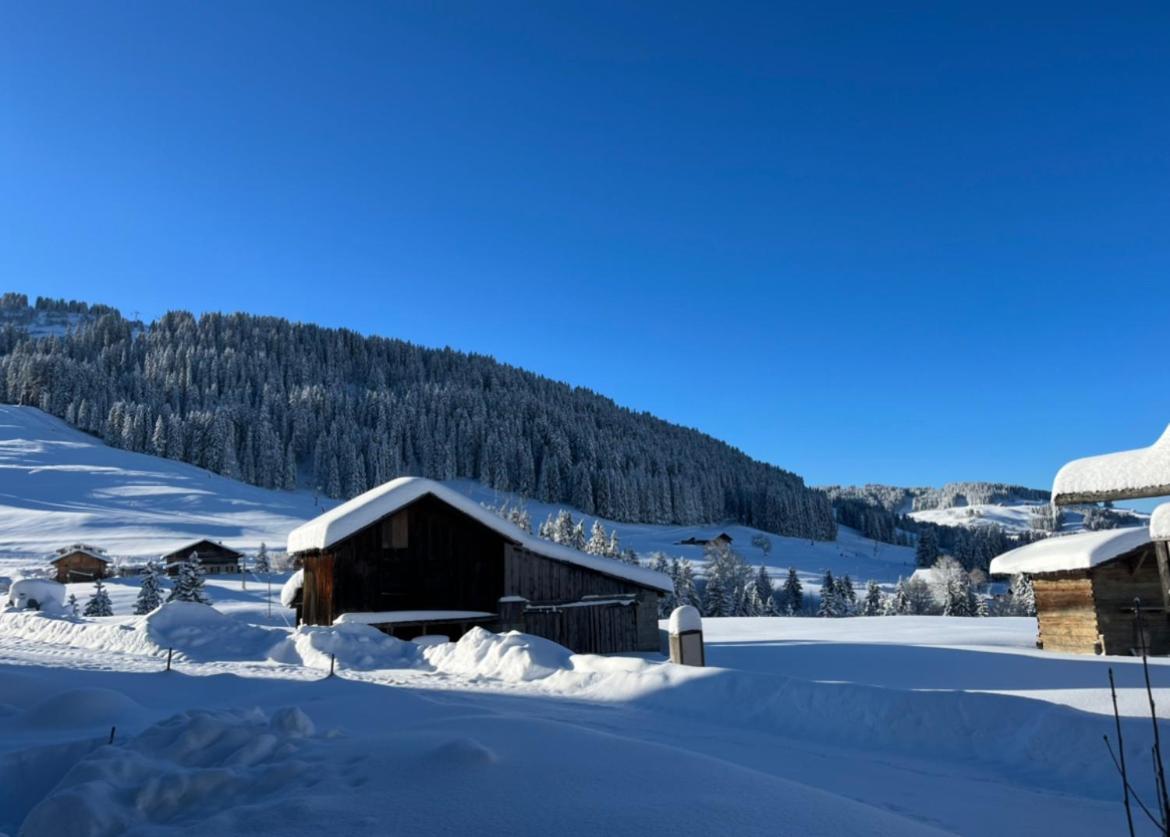 Le Chalet Du Cret - 8 Pers, Tout Confort Avec Jacuzzi Notre-Dame-de-Bellecombe Kültér fotó